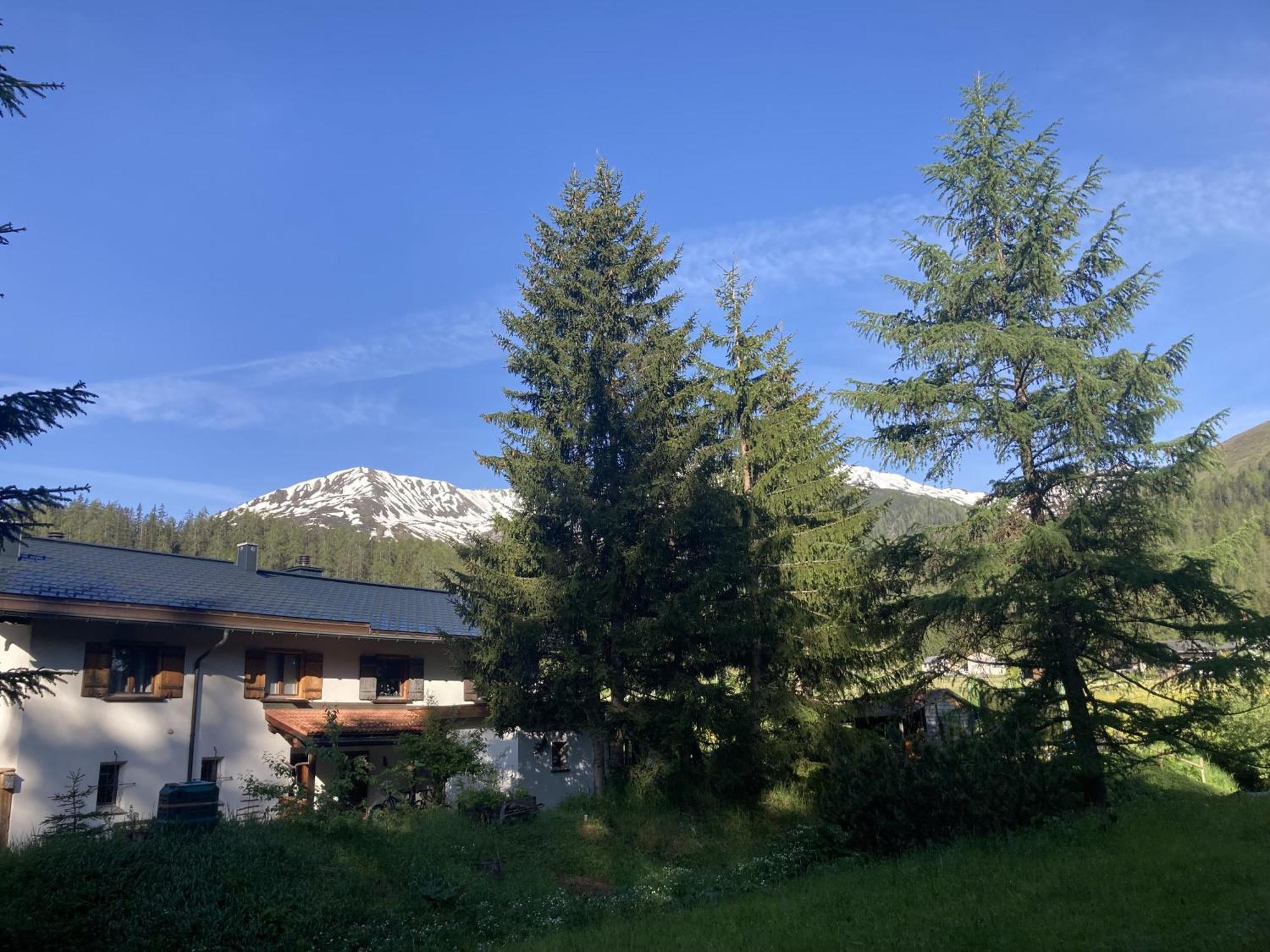 Ferienwohnung Haus Ginseng Davos Exterior photo