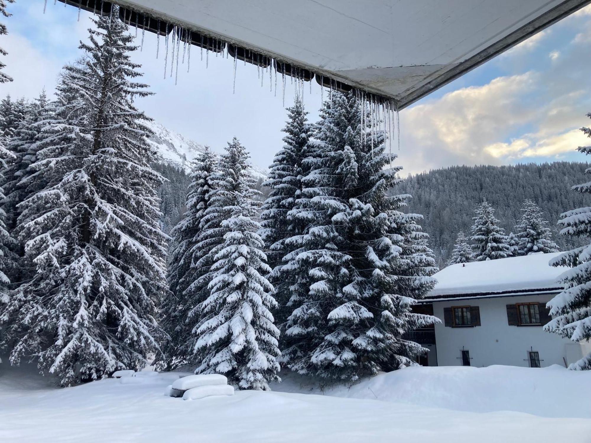 Ferienwohnung Haus Ginseng Davos Exterior photo